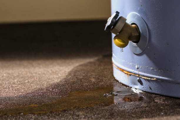 Best Flooded house restoration  in Fulton, TX