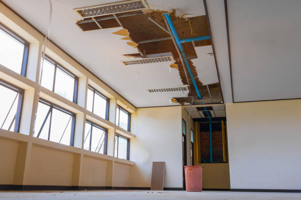 Best Basement water damage restoration  in Fulton, TX