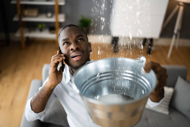Best Carpet water damage restoration  in Fulton, TX