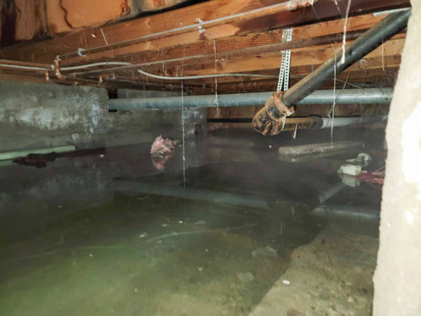 Best Flood restoration services  in Fulton, TX