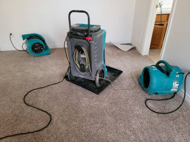 Best Flood damage cleanup  in Fulton, TX