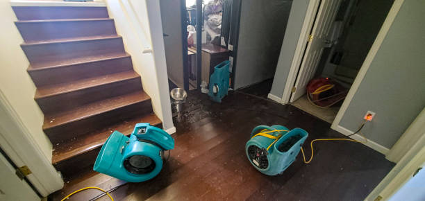Best Ceiling water damage repair  in Fulton, TX