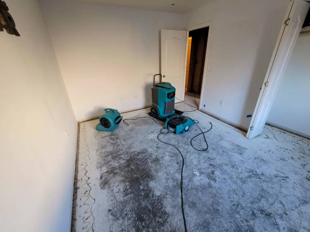 Best Sewage cleanup and water damage restoration  in Fulton, TX