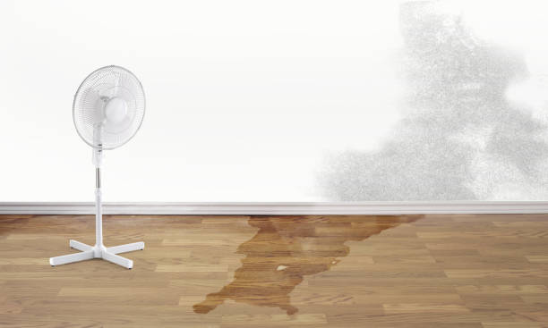 Water damage restoration process in Fulton, TX