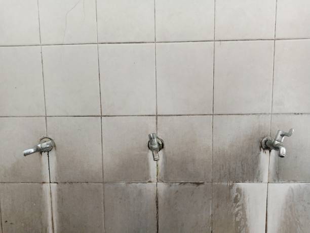 Best 24/7 water damage repair  in Fulton, TX