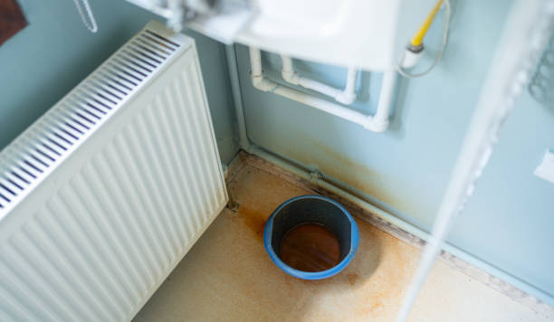 Best Water damage cleanup near me  in Fulton, TX