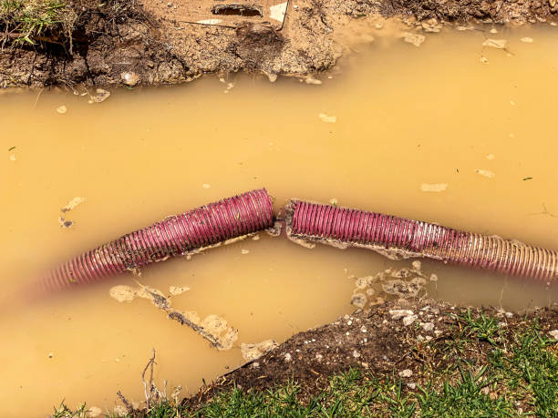 Best Water damage restoration process  in Fulton, TX