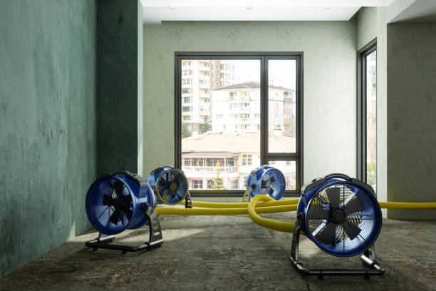 Best Commercial water damage restoration  in Fulton, TX